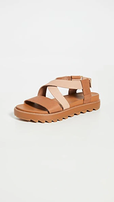 Sorel Roaming Crisscross Sandals In Camel Brow ModeSens