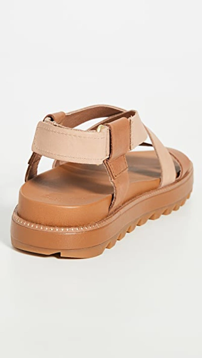 Shop Sorel Roaming Crisscross Sandals In Camel Brown