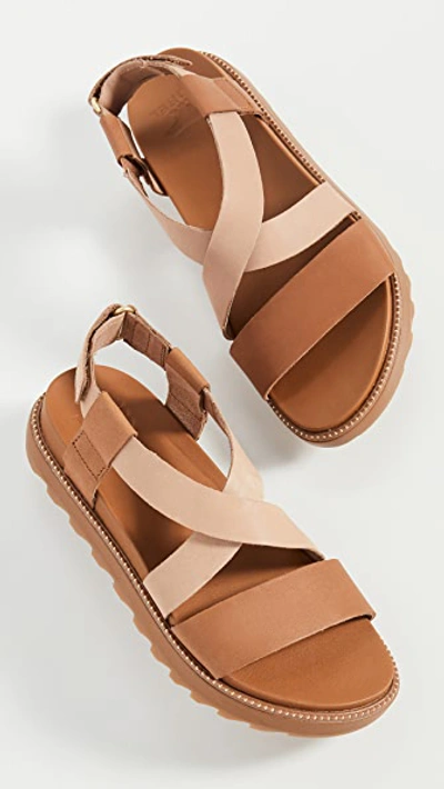 Shop Sorel Roaming Crisscross Sandals In Camel Brown
