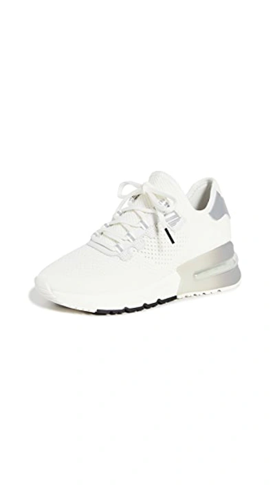 Shop Ash Krush Bis Sneakers In White/silver