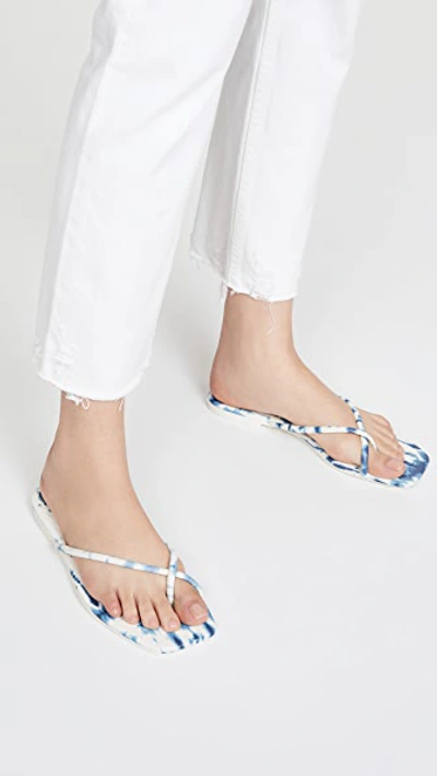 Shop Dolce Vita Lyza Flip Flops In Blue