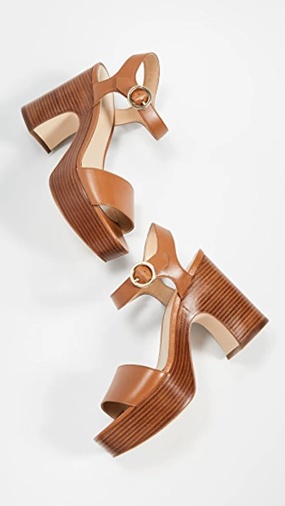 Shop Michael Michael Kors Fiona Platform Sandals In Acorn