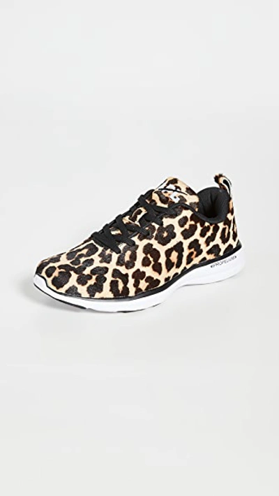 Shop Apl Athletic Propulsion Labs Iconic Pro Sneakers In Leopard