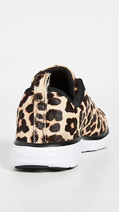 Shop Apl Athletic Propulsion Labs Iconic Pro Sneakers In Leopard