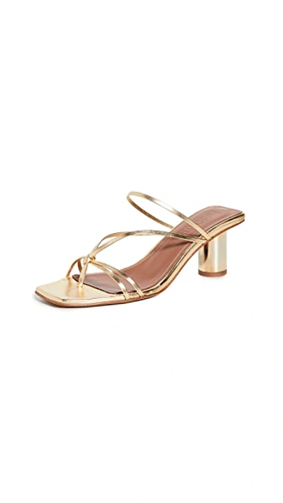 Shop Souliers Martinez Aranda 55mm Slides In Venus