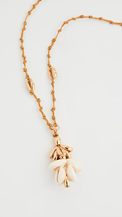 Shop Tohum Longmix Puka Shell Necklace In Gold