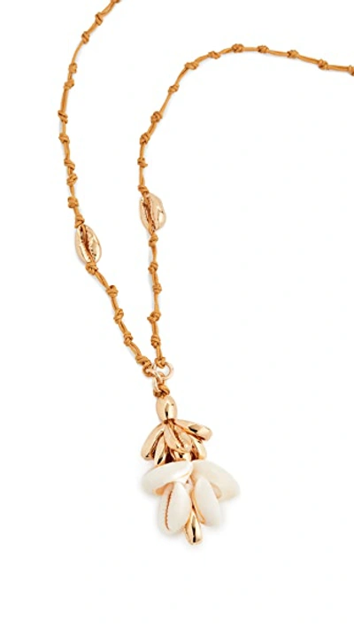 Shop Tohum Longmix Puka Shell Necklace In Gold
