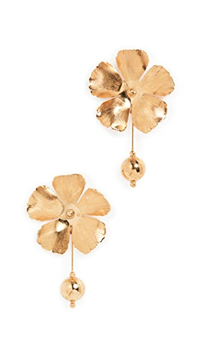 Shop Jennifer Behr Laurie Earrings In Gold