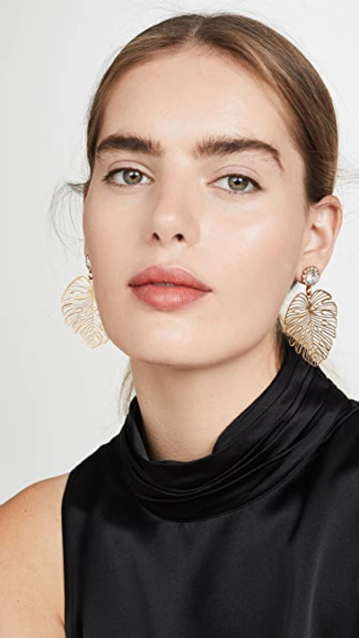 Shop Elizabeth Cole Francesca Earrings In Gold