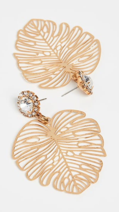 Shop Elizabeth Cole Francesca Earrings In Gold