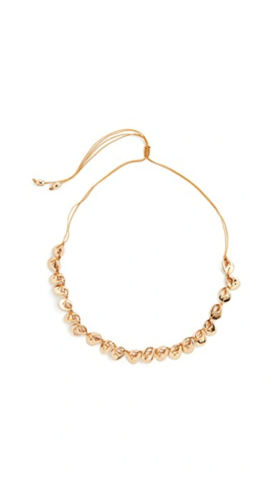 Shop Tohum Crab Shell Necklace In Gold