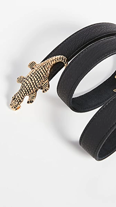 Shop B-low The Belt Gator Belt In Black/gold