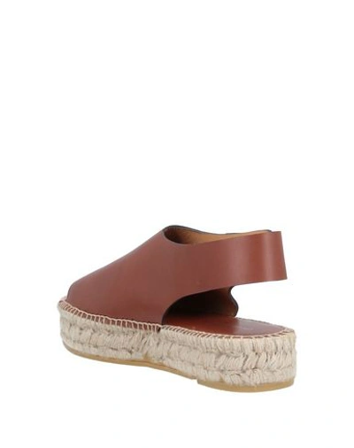 Shop Liviana Conti Sandals In Brown