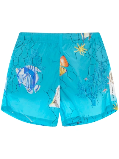 Shop Off-white Fish Swimsuit In Light Blue