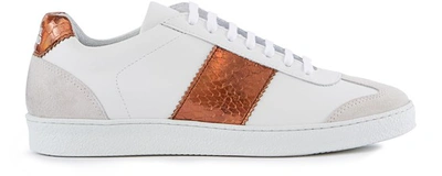 Shop National Standard Edition 4 Sneakers In Copper Snake