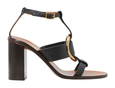 Shop Chloé Rony Sandals In Black