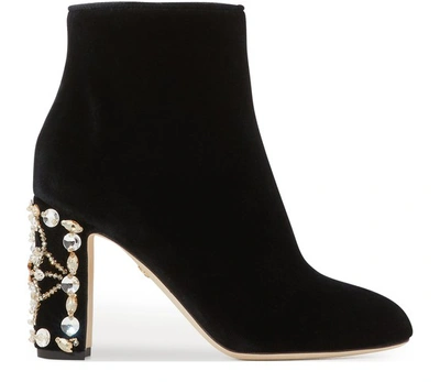 Shop Dolce & Gabbana Velvet Ankle Boots In Black