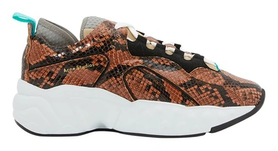 Shop Acne Studios Manhattan Faux Snake Sneakers In Cognac Brown