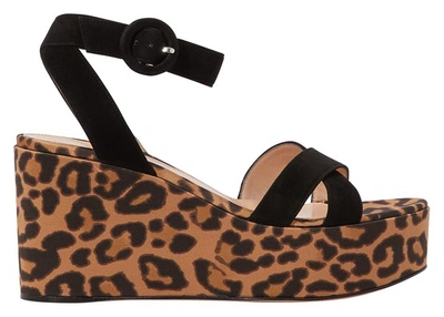 Shop Gianvito Rossi Wedge Sandals In Black+leopard Print