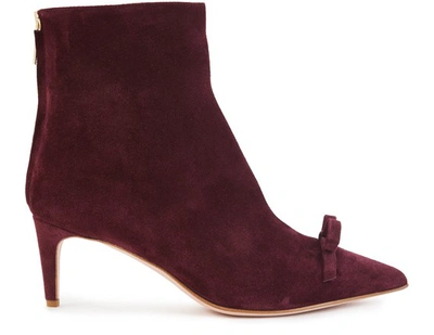 Shop Red Valentino Bow Suede Ankle Boots In Dark Red