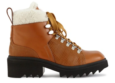 Shop Chloé Bella Ankle Boots In Canyon Brown