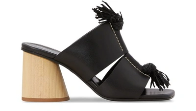 Shop Proenza Schouler Wooden-heeled Mules In Black