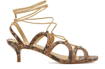 Shop Zimmermann Lace-up Sandals In Natural Snake