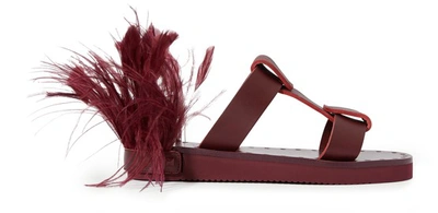 Shop Valentino Garavani Escape Feathers Sandals In Cerise