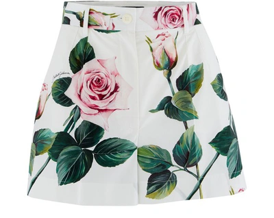 Shop Dolce & Gabbana Shorts In Rosa