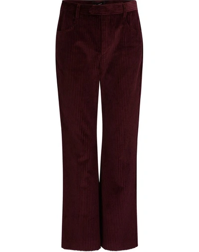 Shop Isabel Marant Cotton Mereo Pants In Burgundy