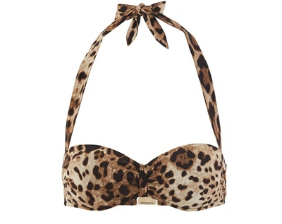 Shop Dolce & Gabbana Leopard Bikini Top