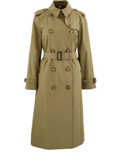 Shop Burberry Waterloo 501 Trench Coat In Rich Olive