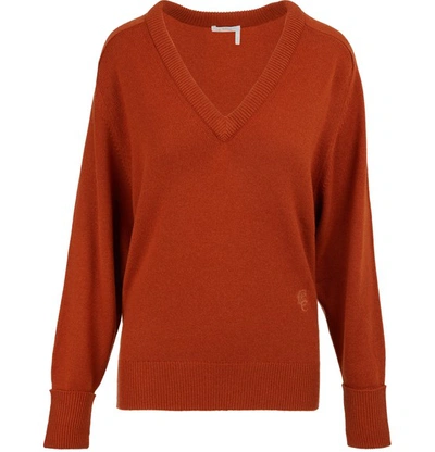 Shop Chloé Cashmere Jumper In Wildwood Brown