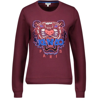Shop Kenzo Tiger Sweatshirt In Burgundy