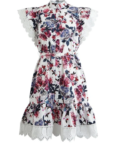 Shop Erdem Lalique Dress In Rose Blossom