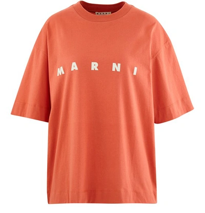 Shop Marni Logo T-shirt In Arabesque