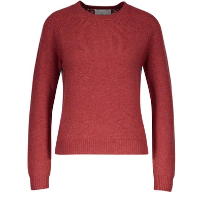 Shop Alexandra Golovanoff Mila 6 Thread Sweatshirt In Fraise