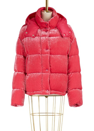 Shop Moncler Caille Velvet Jacket In Fucsia