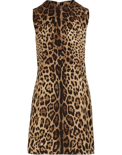 Shop Dolce & Gabbana Short Stretch Leopard Print Dress