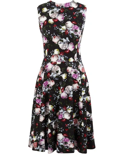 Shop Erdem Dylanne Dress In Clarence Dream