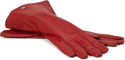 Shop Dolce & Gabbana Long Gloves In Red