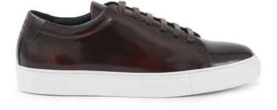 Shop National Standard Edition 3 Trainers In Wine