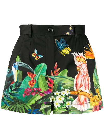 Shop Dolce & Gabbana Tropical Jungle-print Shorts In Black