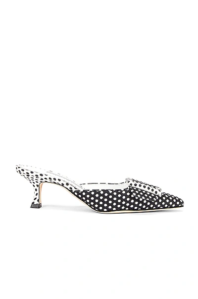 Shop Manolo Blahnik Maysale 50 Mule In Black & White