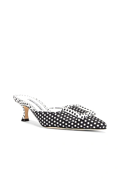 Shop Manolo Blahnik Maysale 50 Mule In Black & White