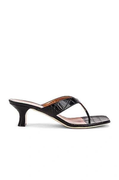 Shop Paris Texas Moc Croco 45 Thong Sandal In Black