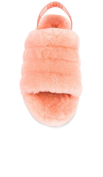 Shop Ugg Fluff Yeah Slide In Beverly Pink