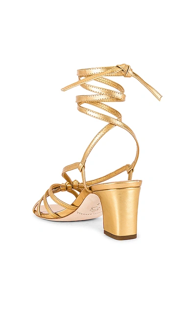 Shop Loeffler Randall Libby Knotted Wrap Heel In Gold