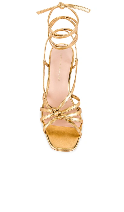 Shop Loeffler Randall Libby Knotted Wrap Heel In Gold