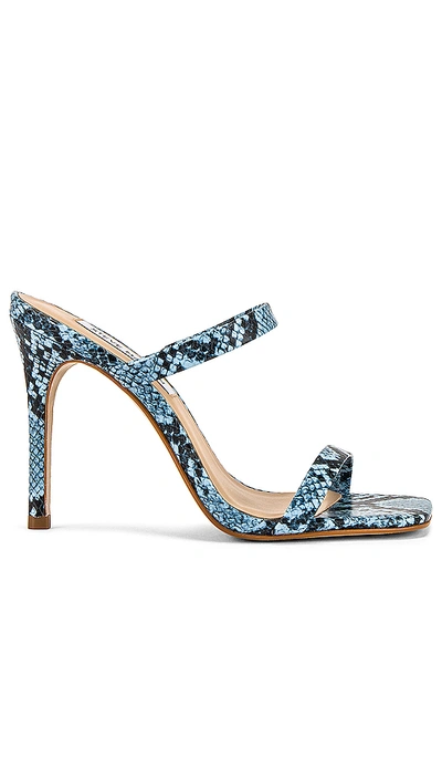 Shop Steve Madden Michele 스틸레토 In Blue Snake